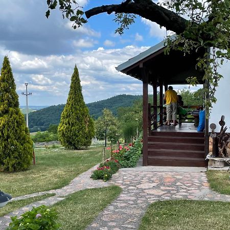 Etno Selo Moj Zavicaj Villa Gornji Milanovac Exterior photo