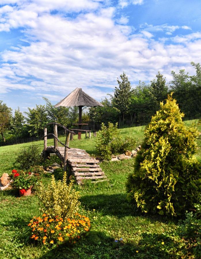 Etno Selo Moj Zavicaj Villa Gornji Milanovac Exterior photo